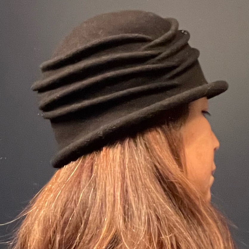Wool Mode Hat